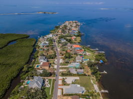 Aerial (20)
