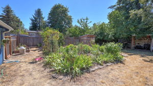 Photo 31