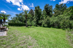 Backyard 2