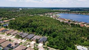 Aerial 4