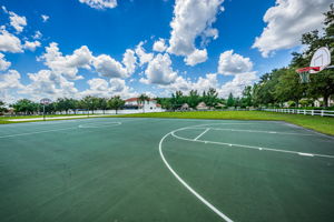 10-Park