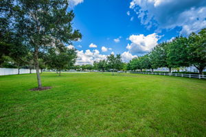 18-Park