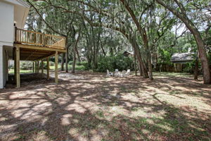 Backyard