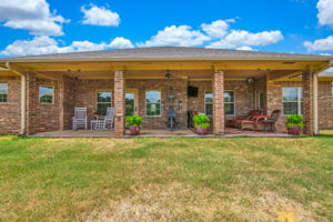 Back Patio