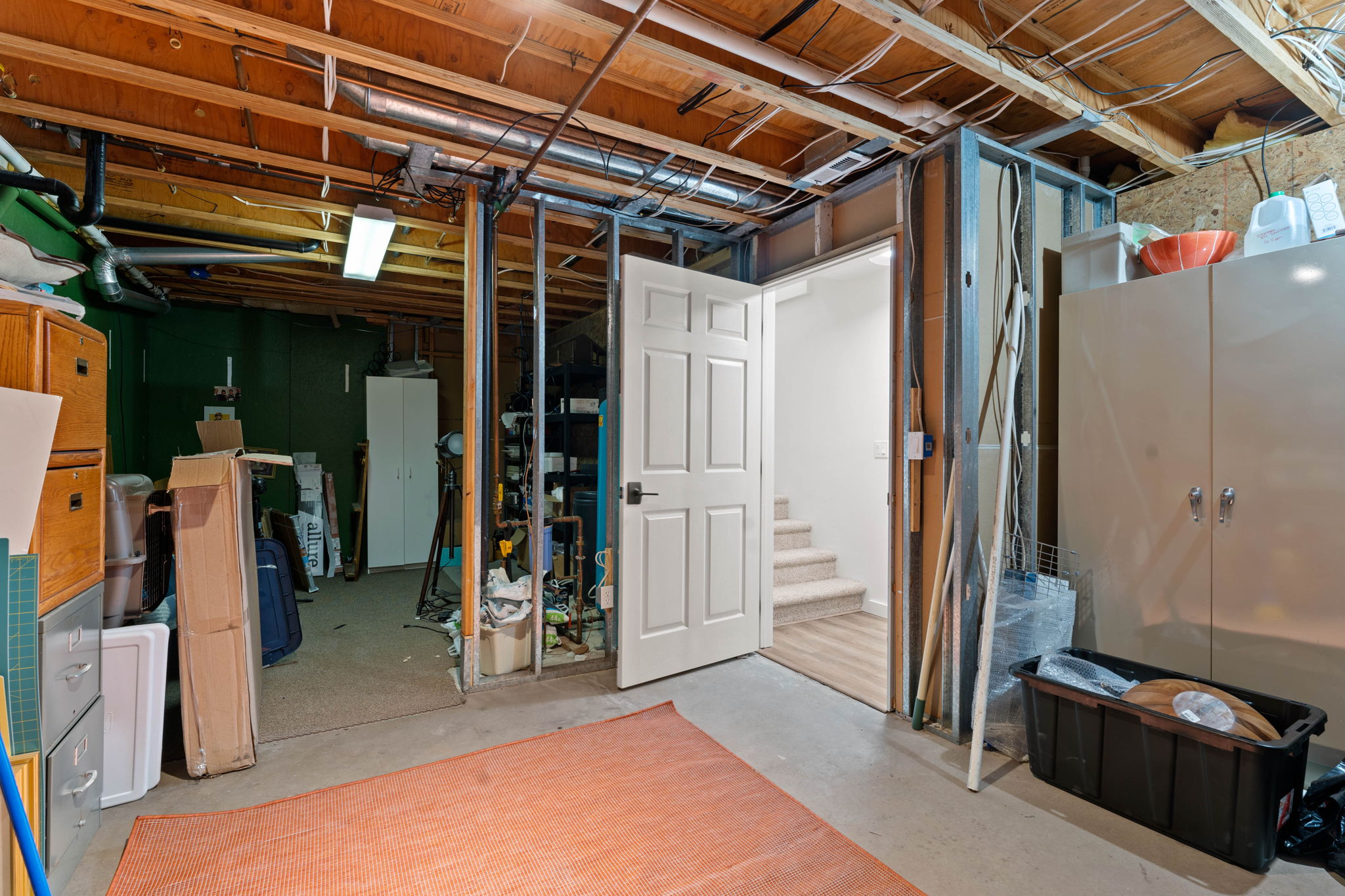 Basement storage room