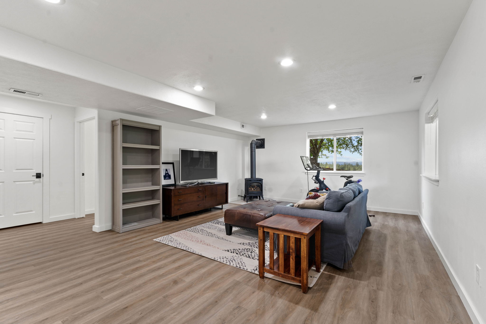 Basement living room