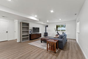 Basement living room