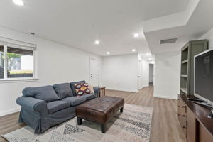 Basement living room