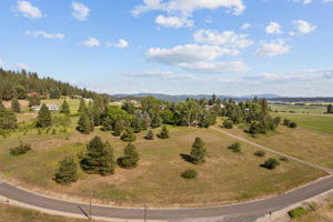 Beautiful Greenbluff