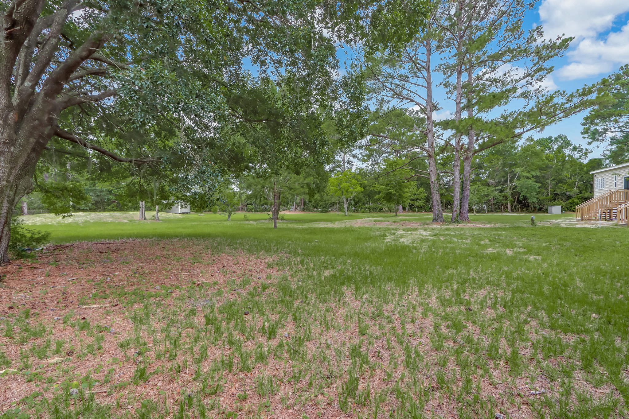 Front Yard