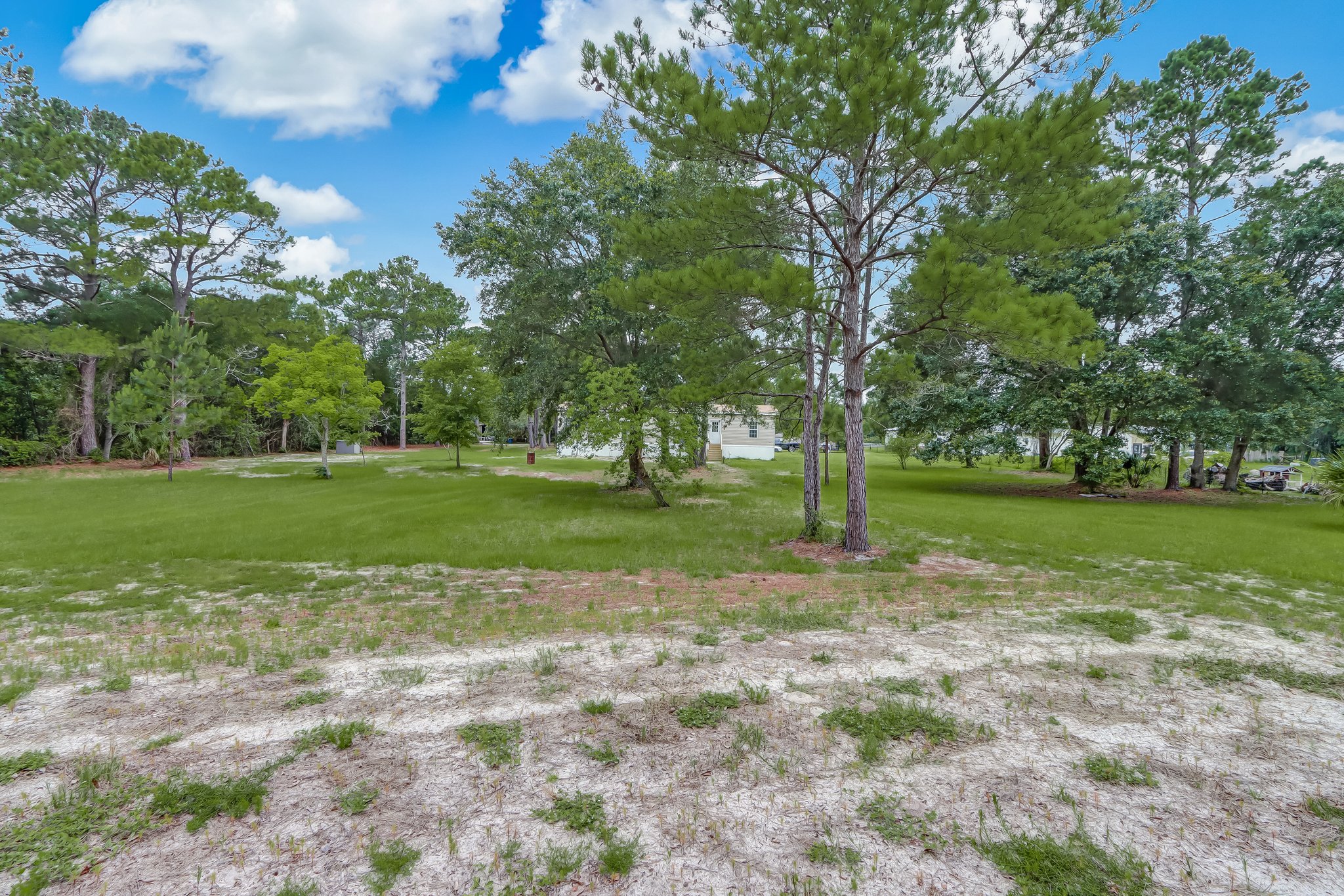 Front Yard