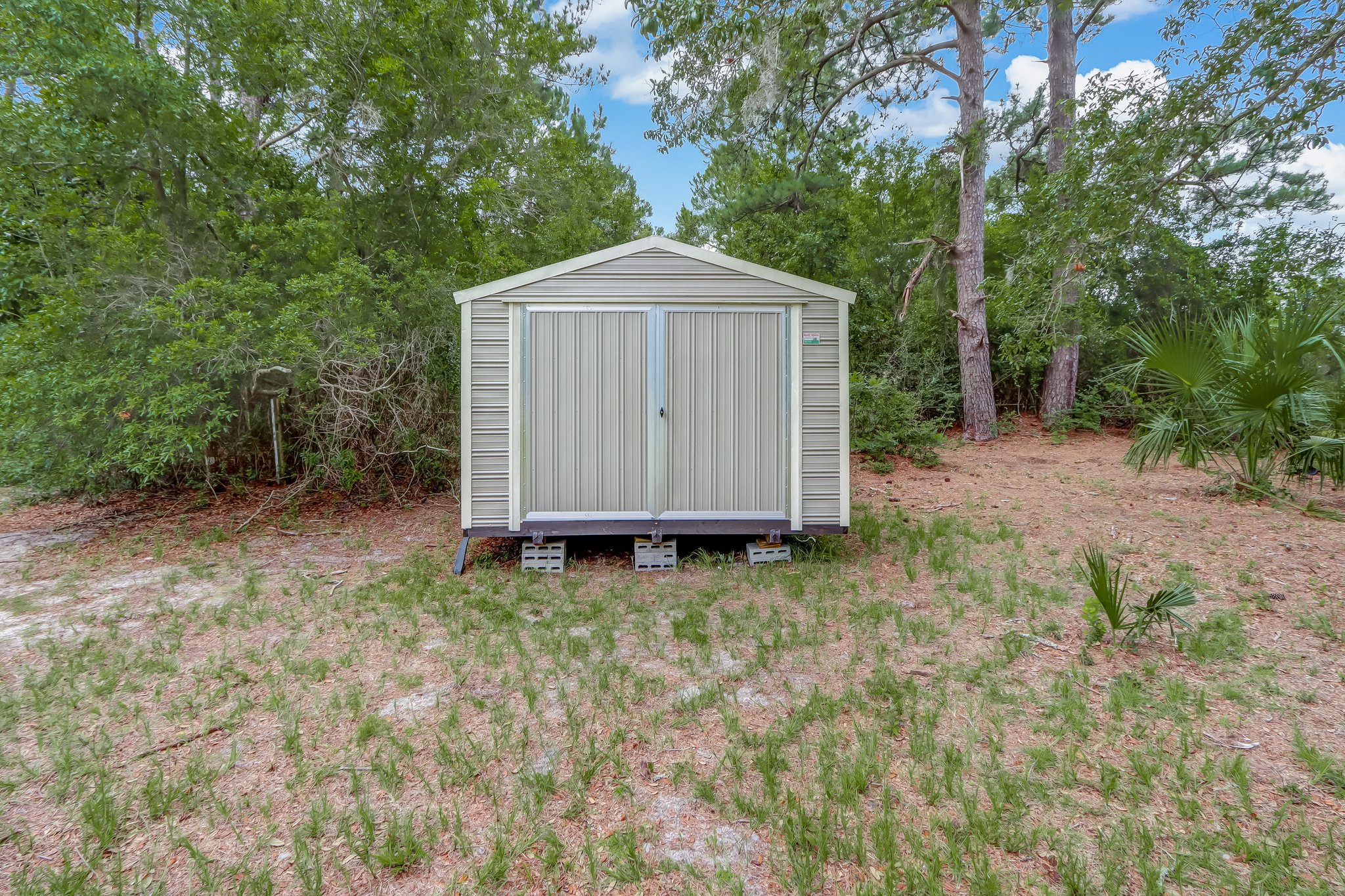 Shed