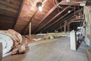  Photo 44