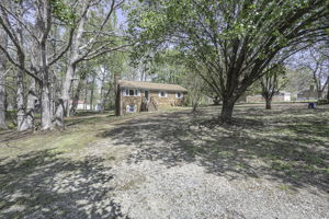  Photo 0