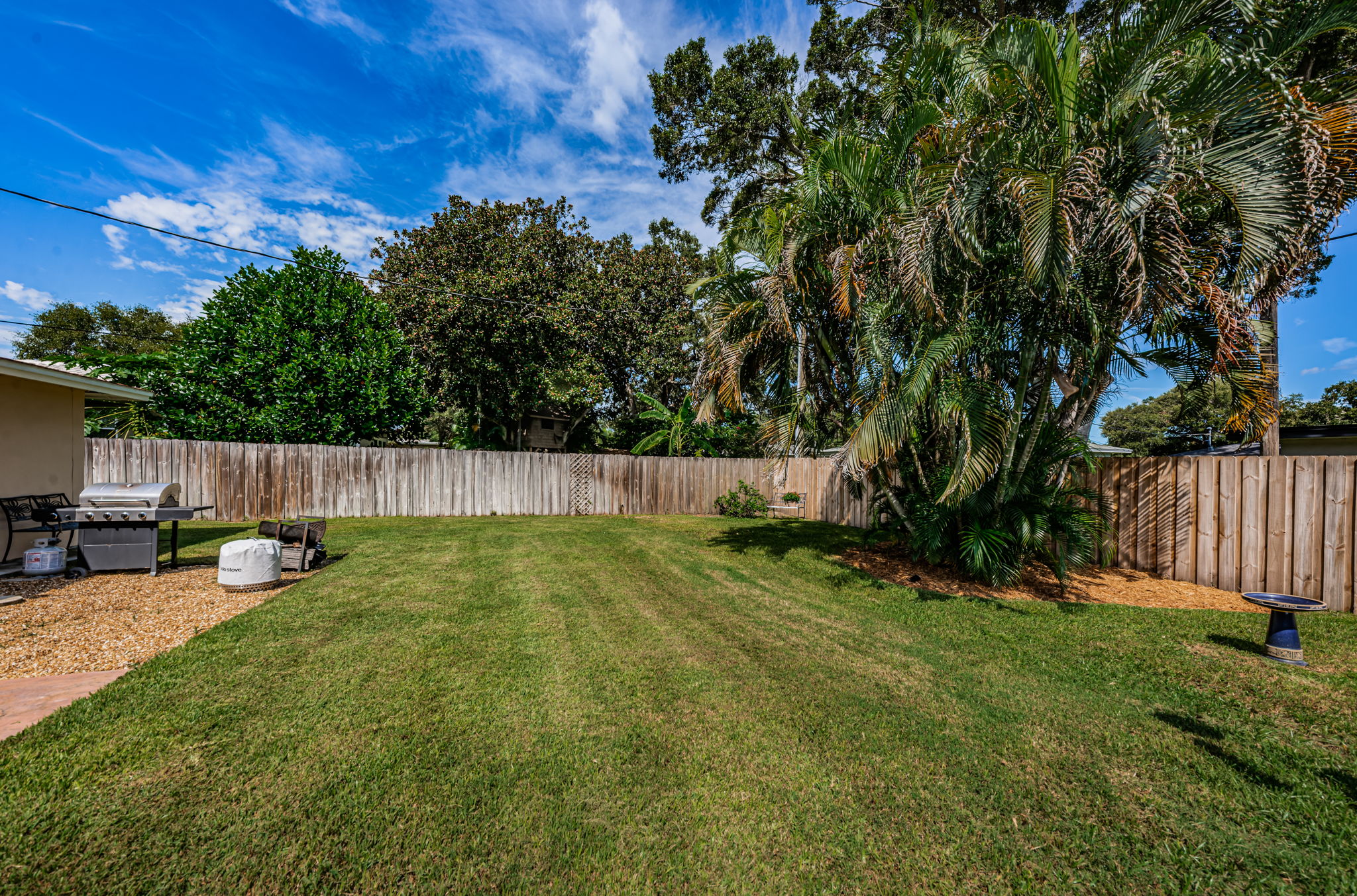 Backyard7