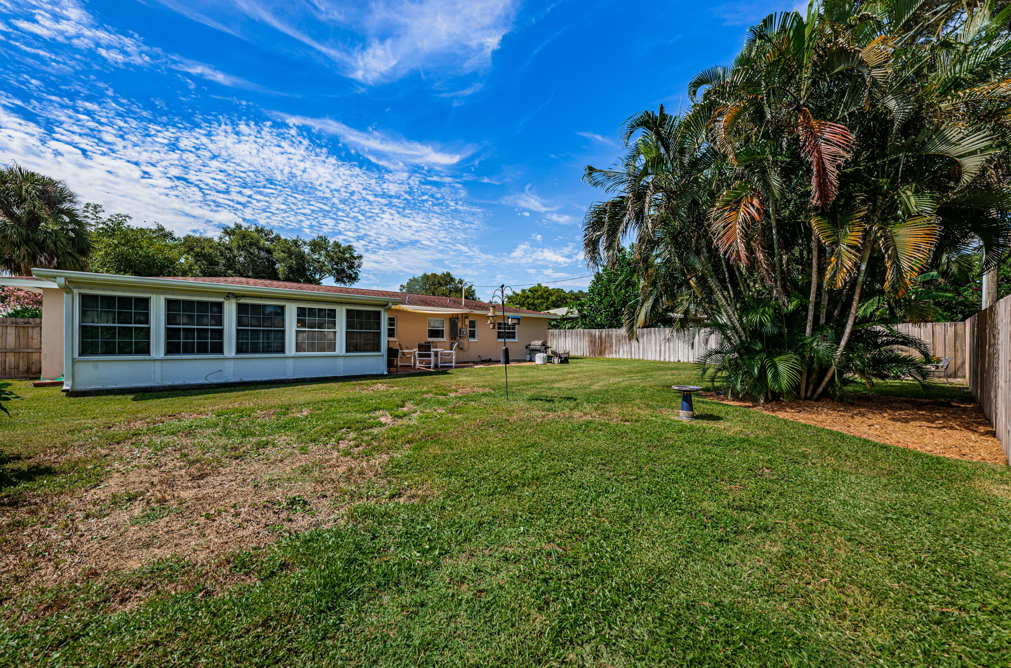 Backyard4
