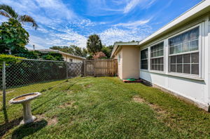 Backyard5