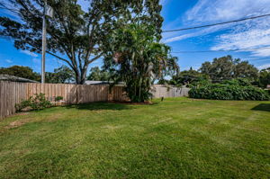 Backyard1