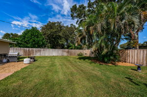 Backyard7