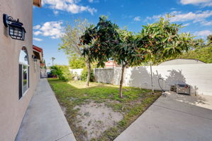  Photo 43