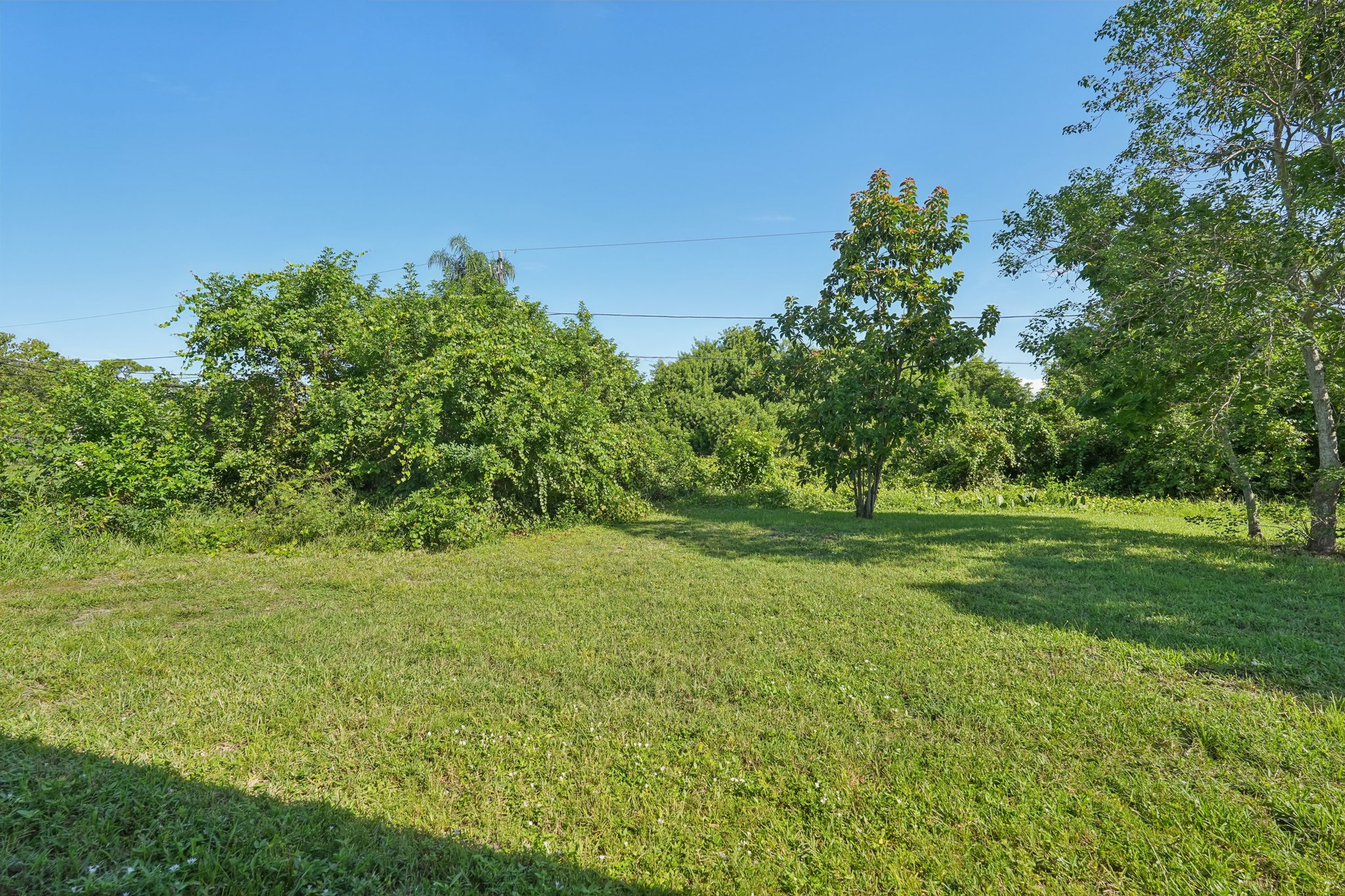 Westcott St-S0909-026.jpg