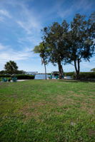 Backyard2