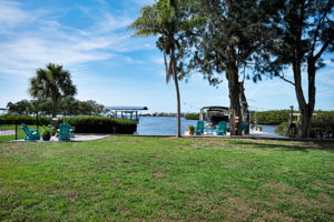 Backyard3