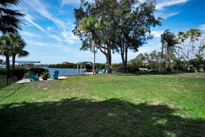 Backyard5