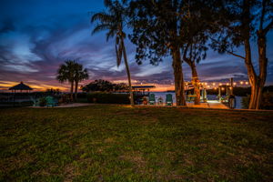 Backyard35