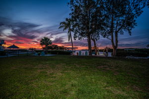 Backyard28