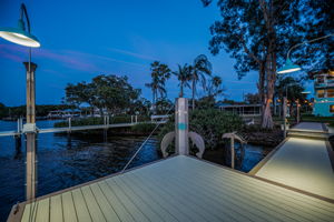 Dock29