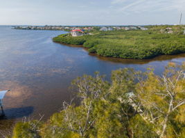 Aerial (26)