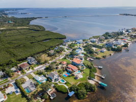 Aerial (12)