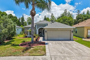 Crossvine Ct-S1306-053.jpg