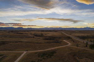  Photo 50
