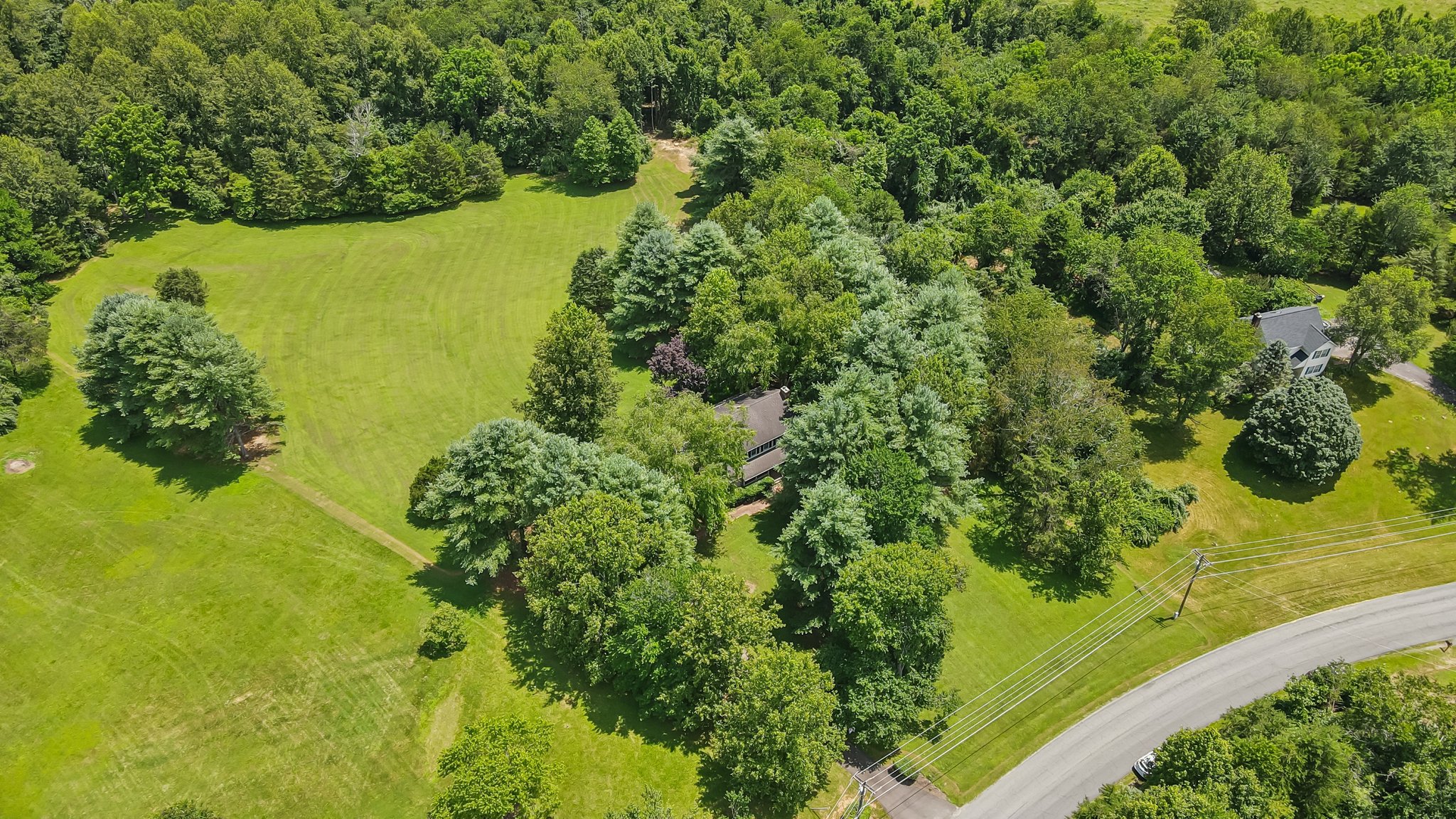 DJI_0005.jpg