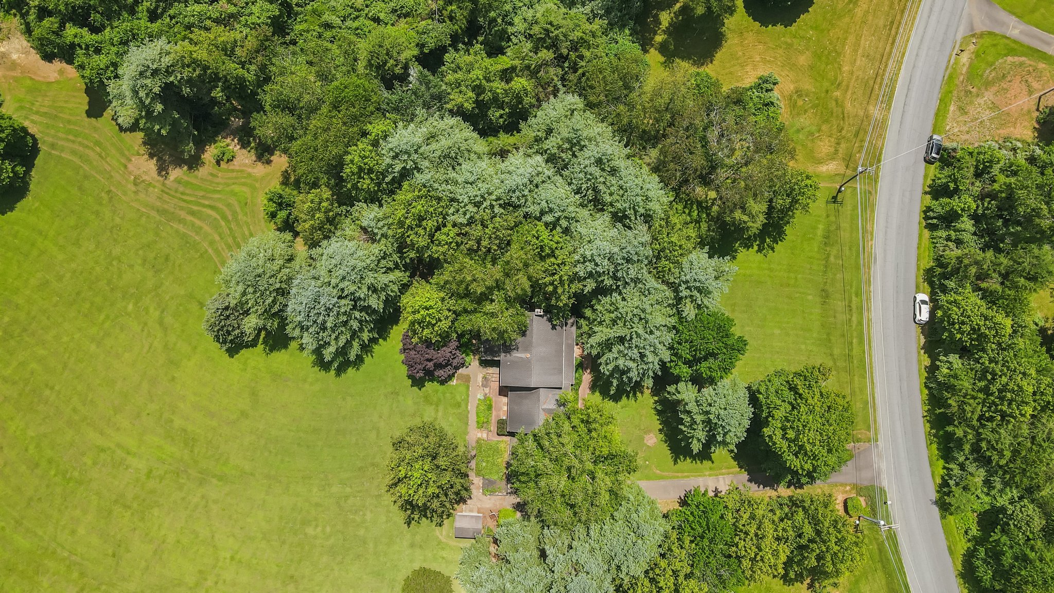 DJI_0018.jpg