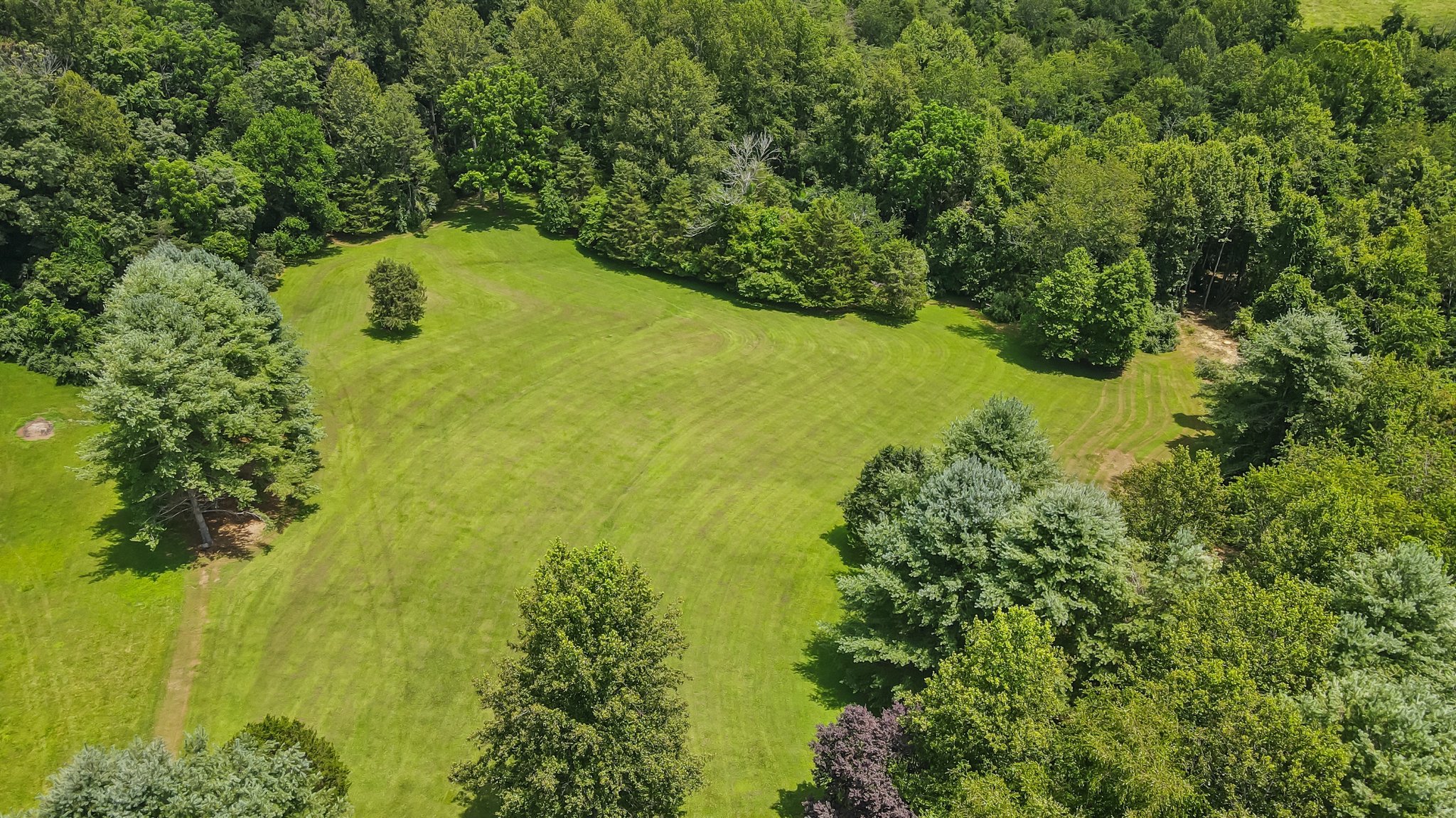 DJI_0024.jpg