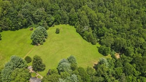 DJI_0010.jpg