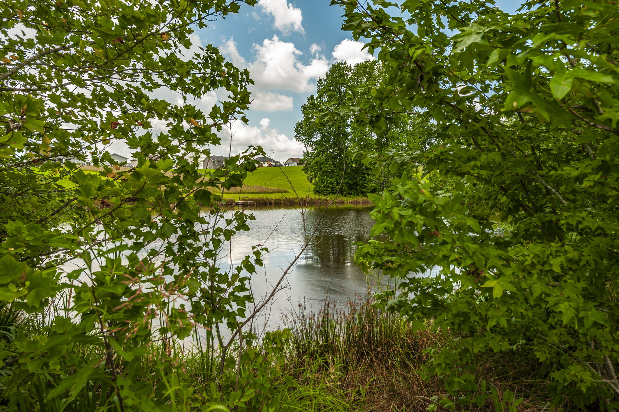  Photo 41