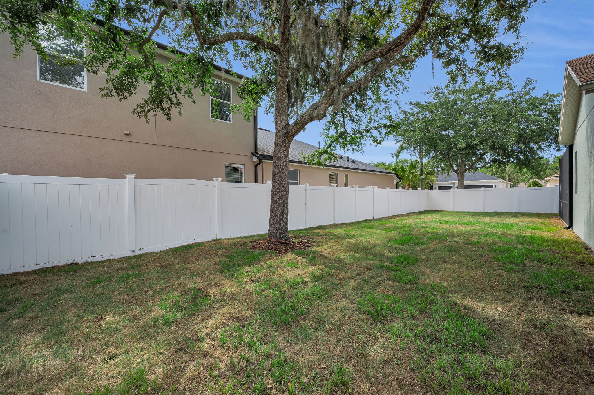 Backyard4