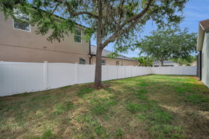 Backyard4