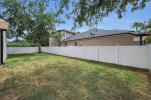 Backyard3