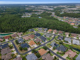 Aerial (11)