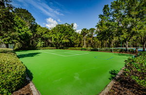 Pickleball Court 1A