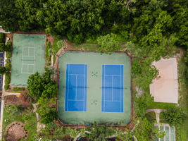 Aerial (6)