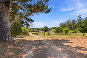 044_F8_16290 Blackie Rd