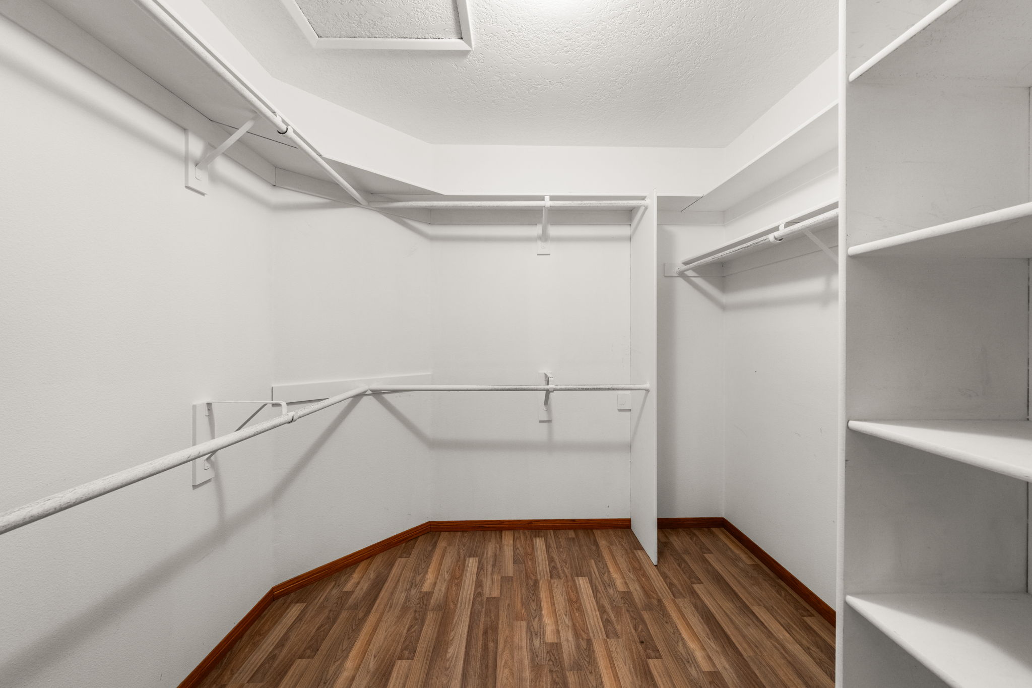 Primary suite features a large walk in closet