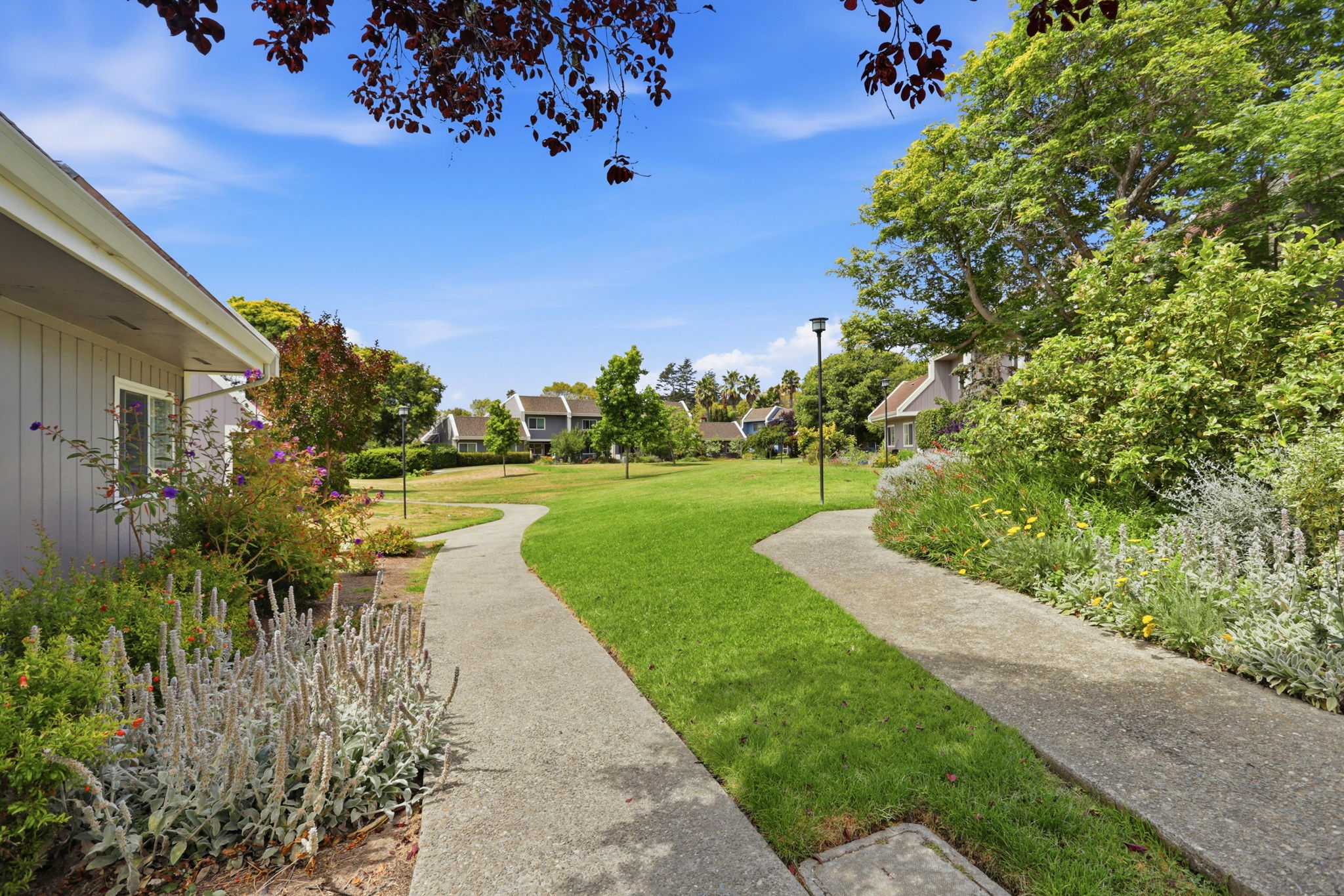 034_F8_163 Harbor Oaks Cir