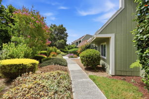 001_F8_163 Harbor Oaks Cir